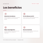 Akkermansia + Prebiótico — Los beneficios