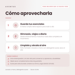 Bolsa Tote Aventus — Cómo aprovecharla
